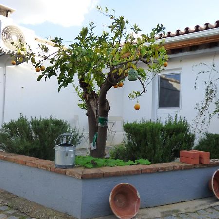 Solar Da Cumeada Bed & Breakfast Reguengos de Monsaraz Eksteriør bilde