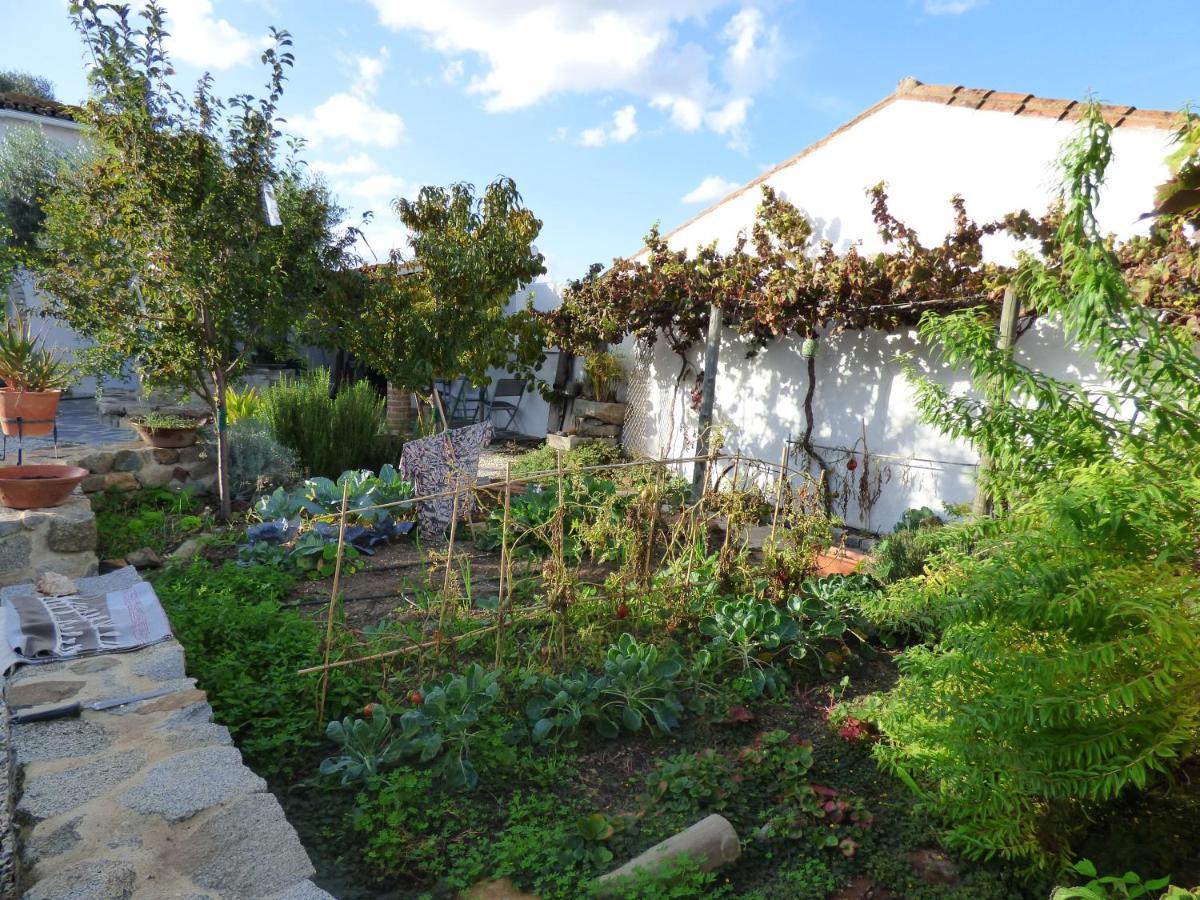 Solar Da Cumeada Bed & Breakfast Reguengos de Monsaraz Eksteriør bilde