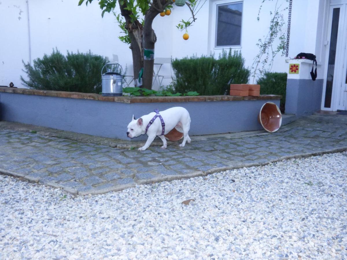 Solar Da Cumeada Bed & Breakfast Reguengos de Monsaraz Eksteriør bilde